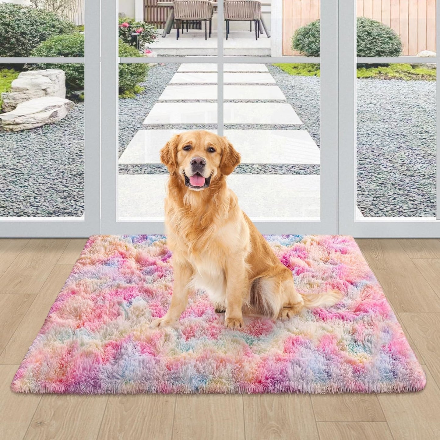 Shaggy Tie Dyed Light Rainbow Rug Small,2X3 Area Rugs for Living Room Door Entryway Indoor inside Front Entrance Dog Mat Anti-Skid Extra Comfy Fluffy Floor Carpet for Home Decorative